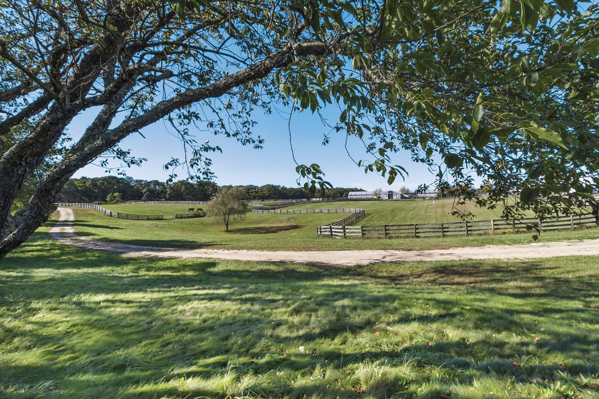 DAVISLongIslandEquestrianDomainJamesportNewYork15 Leading